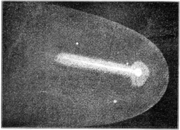 PSM V76 D018 Halley comet in 1835.png