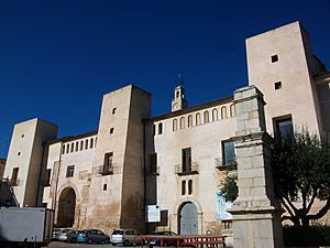 Palau dels Milà i Aragó, Albaida.JPG