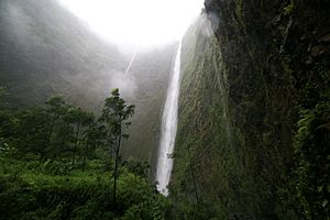 Waipio waterfall