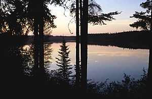 Wood-Buffalo-NP Pine Lake 98-07-03