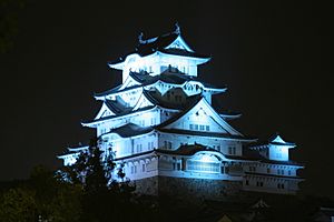 Blue Himeji Castle at night 09