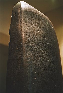 Side view of the stele "fingertip"