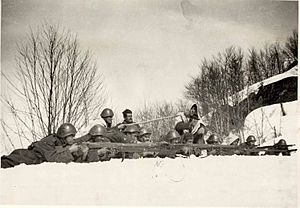 Greek Army during Primavera Offensive Klisura March 1941