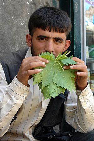 Merchant selling grape leaves, Al-Hamidiyah Souq, Damascus, Syria.jpg