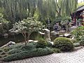 Ornamental Fish Pond, Chinese Garden of Friendship