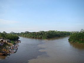 Rios Orton en Pando Bolivia, nace de la union de los rios Tahumanu (derecha) y Manuripi (izquierda).jpg