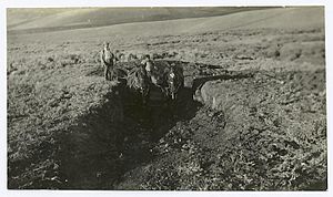 Trenching for Coal, Colorado