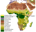 Vegetation Africa