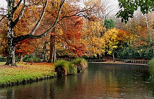 Christchurch Botanic Gardens in autumn