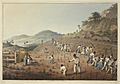 Digging the Cane-holes - Ten Views in the Island of Antigua (1823), plate II - BL