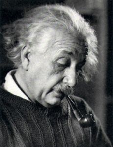 EinsteinVishniac