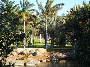 Palmetum Tenerife zona Madagascar.