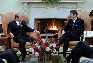 President Ronald Reagan with President Chun Doo Hwan of South Korea