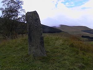 Standing stone at Spittal of Glenshee - geograph.org.uk - 36204