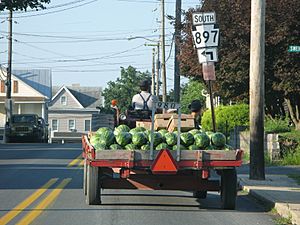 Watermelons on their way to a farmers market, near the intersection of Sweigart Street and Pennsylvania Route 897
