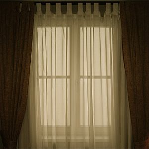 Window with transluscent curtains