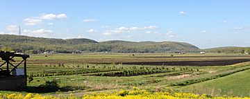 2013-05-06 17 02 10 View of Jenny Jump Mountain and Jenny Jump State Forest from Hope Road near Great Meadows, New Jersey.jpg