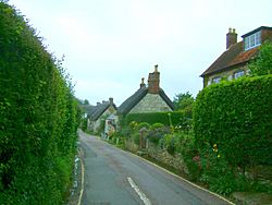 Brighstone Village