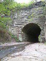 Grist Mill Trail tunnel