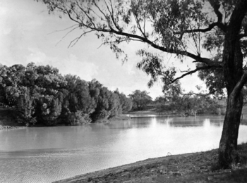Queensland State Archives 2133 The Thomson River at Longreach March 1938.png