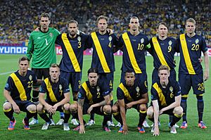 Sweden national football team 20120611