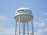 Winona water tower