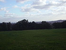 Grim's Ditch, Middlesex, view facing south.jpg