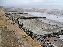 Groynes at Goldcliff Point - geograph.org.uk - 750771