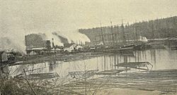 Port Ludlow sawmill - 1900