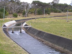 Upper Canal at Bringelly Road
