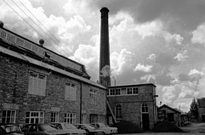 Coldharbour Mill - geograph.org.uk - 1139116