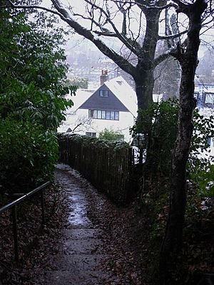 Footpath in Haslemere - geograph.org.uk - 1671103