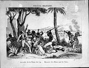 Incendie de la Plaine du Cap. - Massacre des Blancs par les Noirs. FRANCE MILITAIRE. - Martinet del. - Masson Sculp - 33