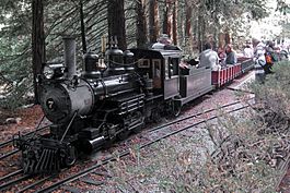A miniature steam engine and passengers in Tilden Park near Berkeley, California.