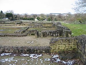Remains of a Roman Basilica and Forum - geograph.org.uk - 1162443