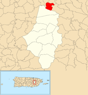 Location of San Antonio within the municipality of Caguas shown in red