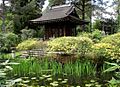 Tatton Japanese Garden