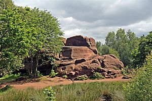 Thors Stone, Thurstaston Common (geograph 2990412)