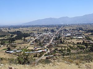 Vista de la población de Arani.JPG