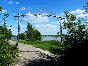 Bug Arch at Idle Valley Nature Reserve.jpg