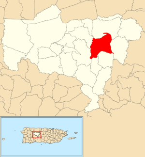 Location of Caonillas Abajo within the municipality of Utuado shown in red