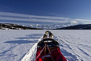 Driver View with Team on Wonder Lake (7065277547)