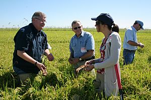 FDA's Rice Tour Looking for Insights on Arsenic (0860) (9684318485)