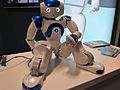 Humanoid Robot (1) ITB 2017