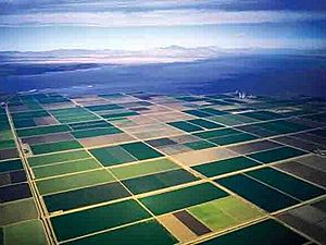 Imperial valley fields