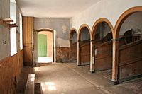 Interior, Calke Abbey Stables - geograph.org.uk - 494096