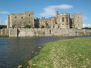 Raby Castle - geograph.org.uk - 29645