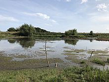 Tophill Low - view from North Lagoon hide.jpg
