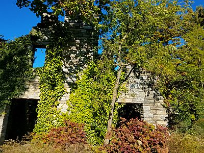 Wall of ruins, Chanticleer Garden, Pennsylvania, USA