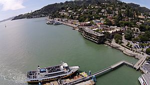 Aerial view of ferry docking at Sausalito